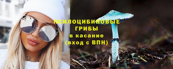 круглые Арсеньев